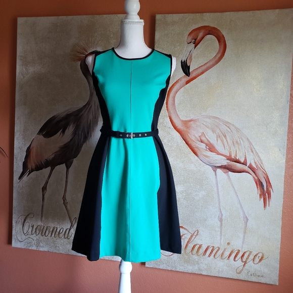 New York & Company Dresses & Skirts - New York and Co Color Block Sleeveless Belt Dress